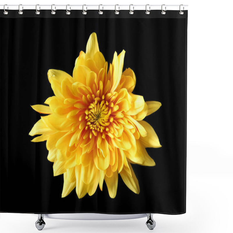 Personality  Yellow Daisy Flower  Shower Curtains