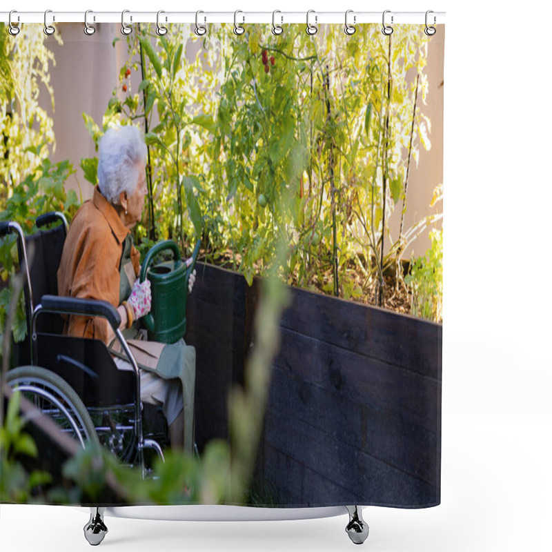 Personality  Close Up Of Senior Woman In Wheelchair Taking Care Of Tomato Plant In Urban Garden. Elderly Woman Waterng Plants In Raised Beds In Community Garden In Her Apartment Complex. Shower Curtains