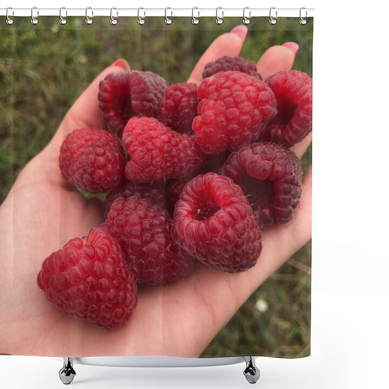 Personality  A Handful Of Ripe Raspberries Filled In A Woman's Hand On A Background Of Soil Shower Curtains