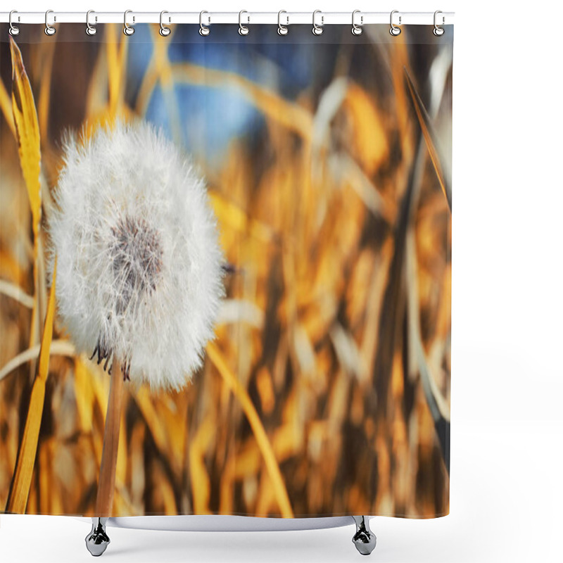 Personality  Autumn Nature. Leaves And Bushes With The Yellow Leaves In The P Shower Curtains