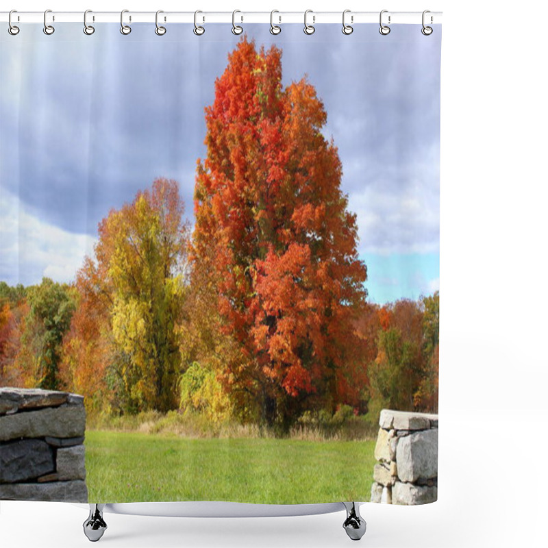 Personality  A Large Tree With Brilliant Red And Orange Autumn Leaves Stands Beside A Stone Wall And Grassy Field In Litchfield, Connecticut Shower Curtains