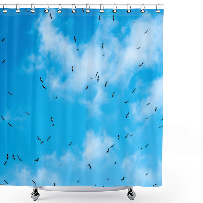 Personality  Lot Of Storks Flying Against The Sky Shower Curtains