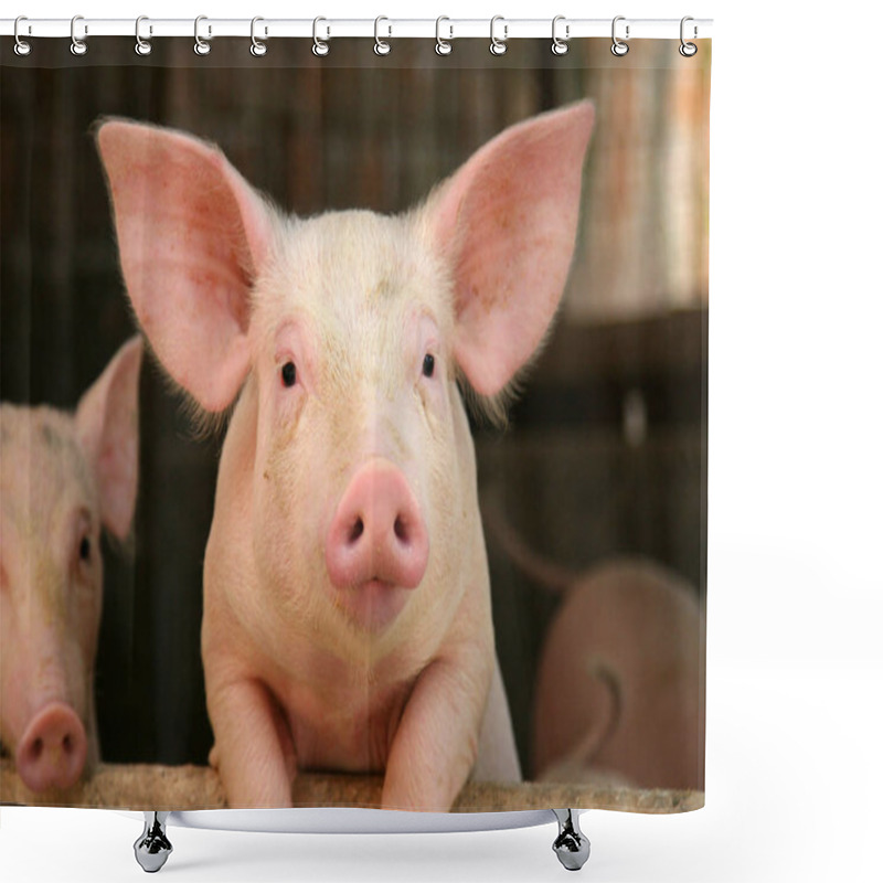 Personality  Cute Pig Leaning Over The Railing Of It's Cot Shower Curtains