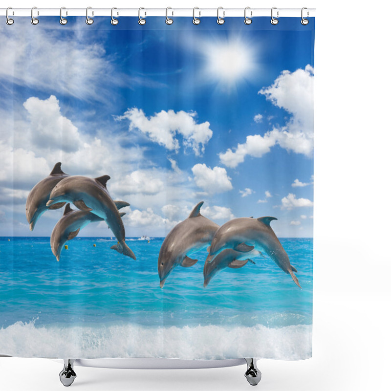 Personality  Three  Jumping Dolphins Shower Curtains