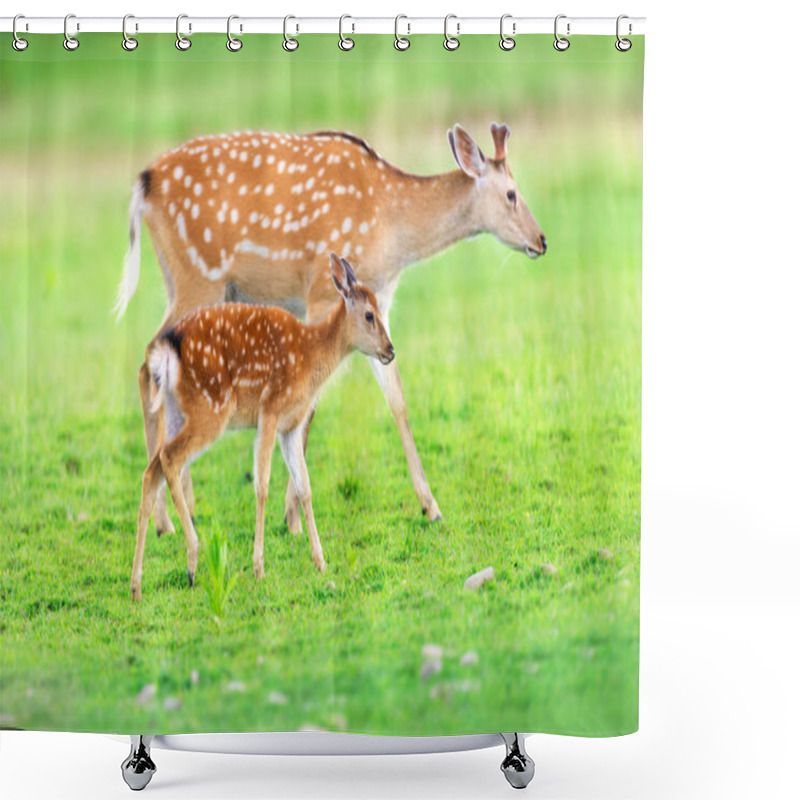 Personality  Deer With Baby In Green Field Shower Curtains