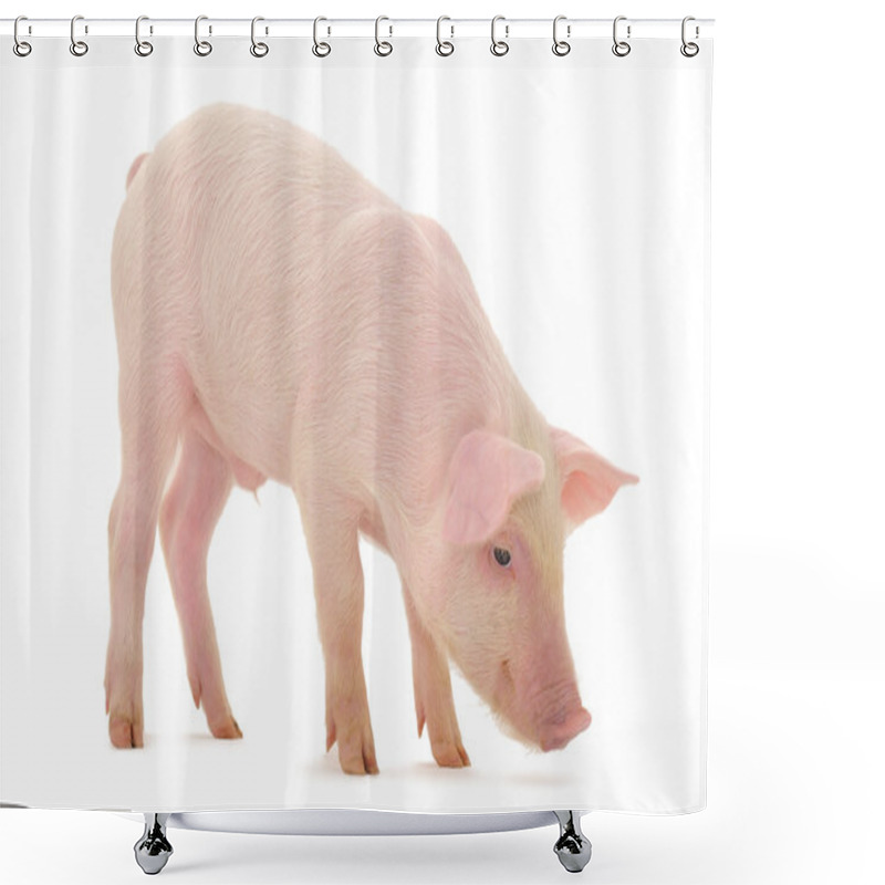 Personality  Pig Who Is Represented On A White Background Shower Curtains