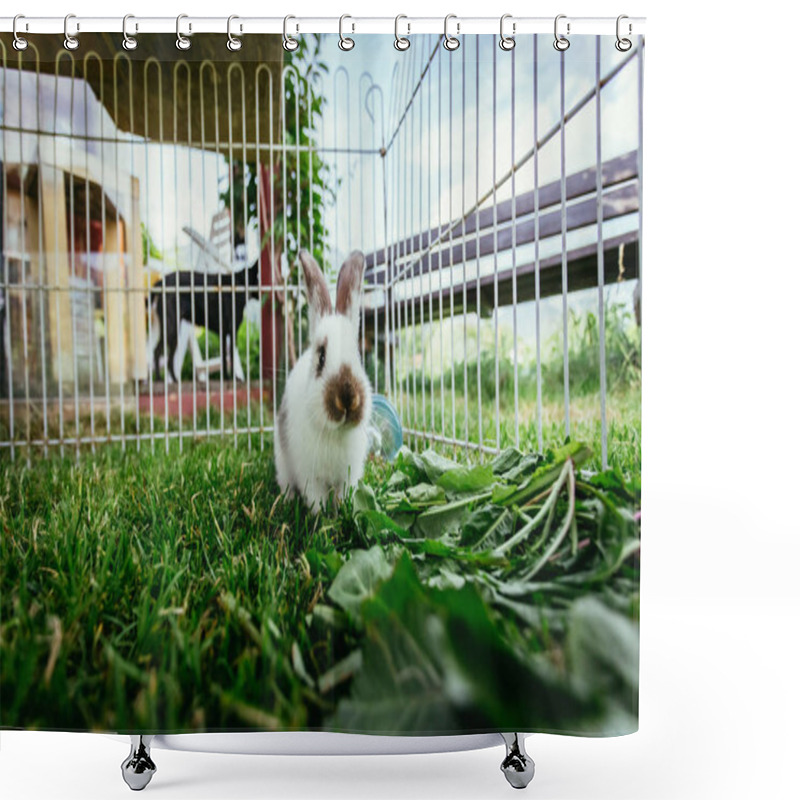 Personality  Cute Little Bunny Eats Salad In An Outdoor Compound. Green Grass, Spring Time.  Shower Curtains