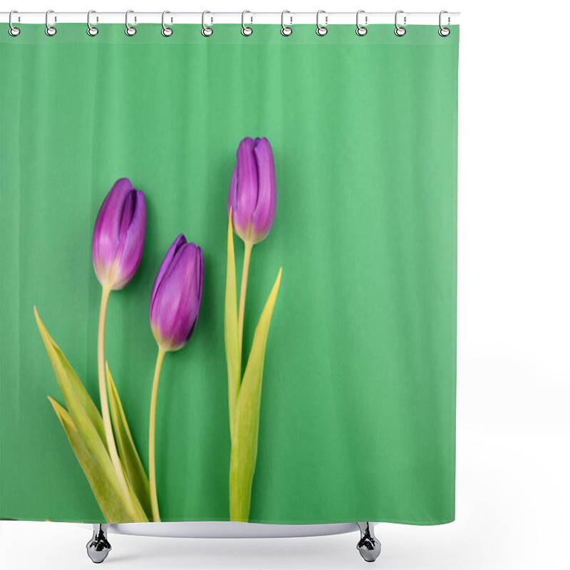 Personality  Purple Tulips Frame Stock Images. Purple Tulips On A Green Background. Spring Floral Decoration. Spring Flower Isolated On A Green Background With Copy Space For Text. Purple Tulips Top View Images Shower Curtains