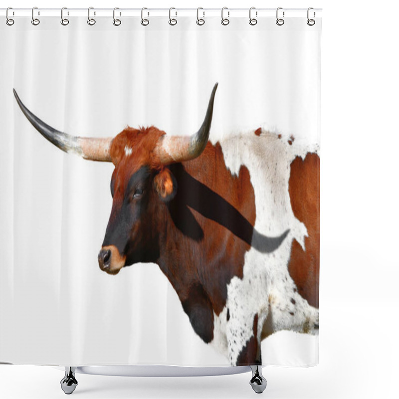 Personality  Long Horn Steer Cutout Isolated On White Background Shower Curtains