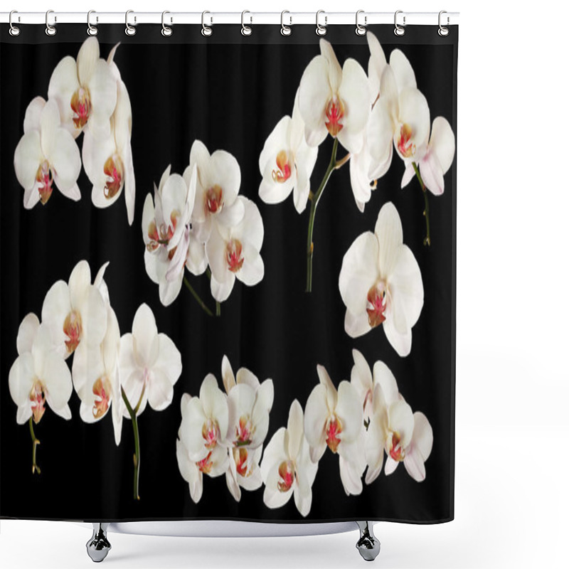 Personality  White Orchids With Red Centers Collection On Black Shower Curtains