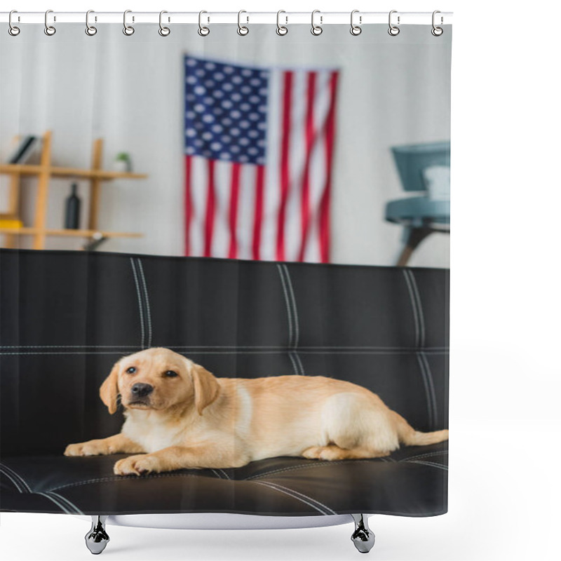 Personality  Close Up View Of Labrador Puppy Lying On Leather Couch Shower Curtains