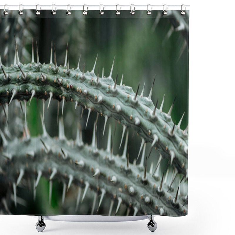 Personality  Close Up View Of Green Cacti Leaves With Needles Shower Curtains