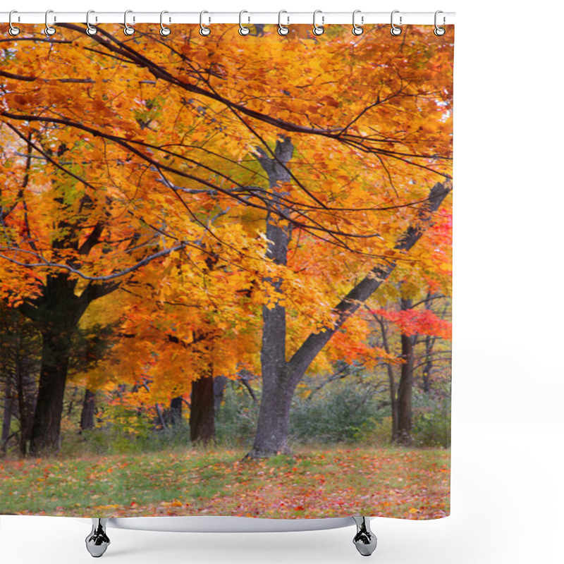 Personality  Yellow Autumn Trees Shower Curtains