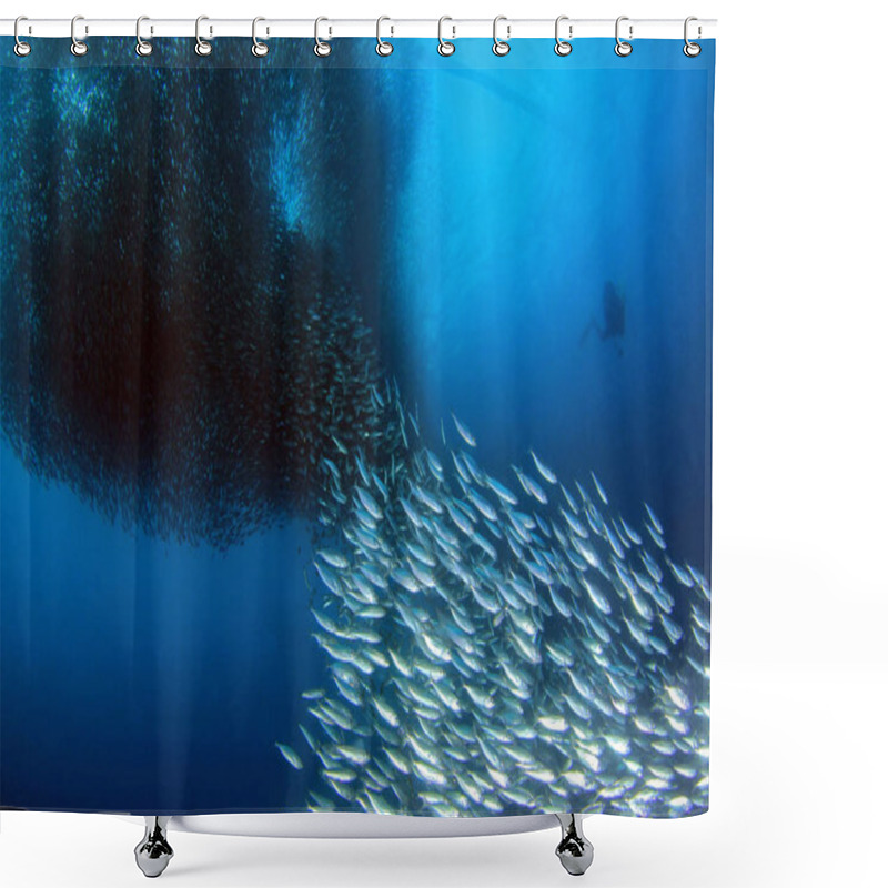 Personality  Sardine Run In Moalboal. Cebu, Philippines Shower Curtains