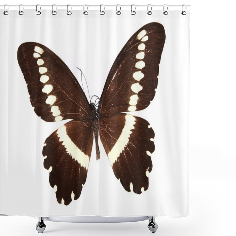 Personality  Brown Yellow Butterflies Isolated On A White Background Shower Curtains