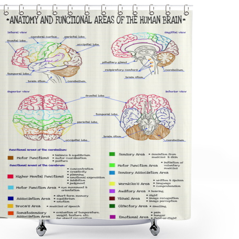 Personality  Anatomy Of The Human Brain Shower Curtains