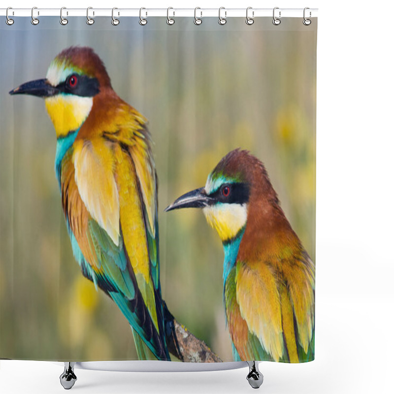 Personality  Couple Of Birds Shower Curtains