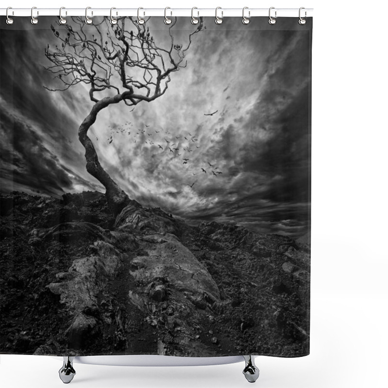 Personality  Dramatic Sky Over Old Lonely Tree Shower Curtains