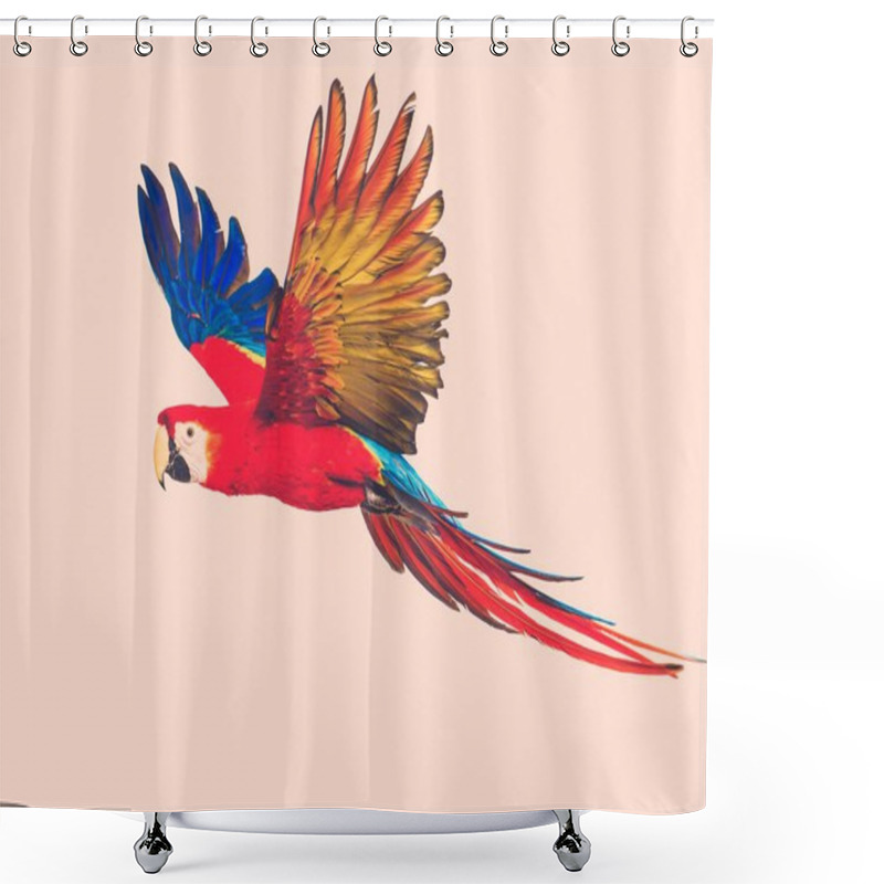 Personality  Flying Parrot Toned Shower Curtains