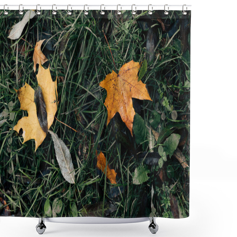 Personality  Close Up Of Fallen Golden Leaves On Green Grass  Shower Curtains