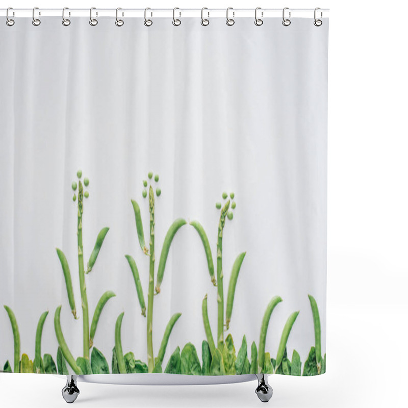 Personality  Beautiful Food Composition Made Of Green Peas, Asparagus And Leaves Isolated On White Shower Curtains