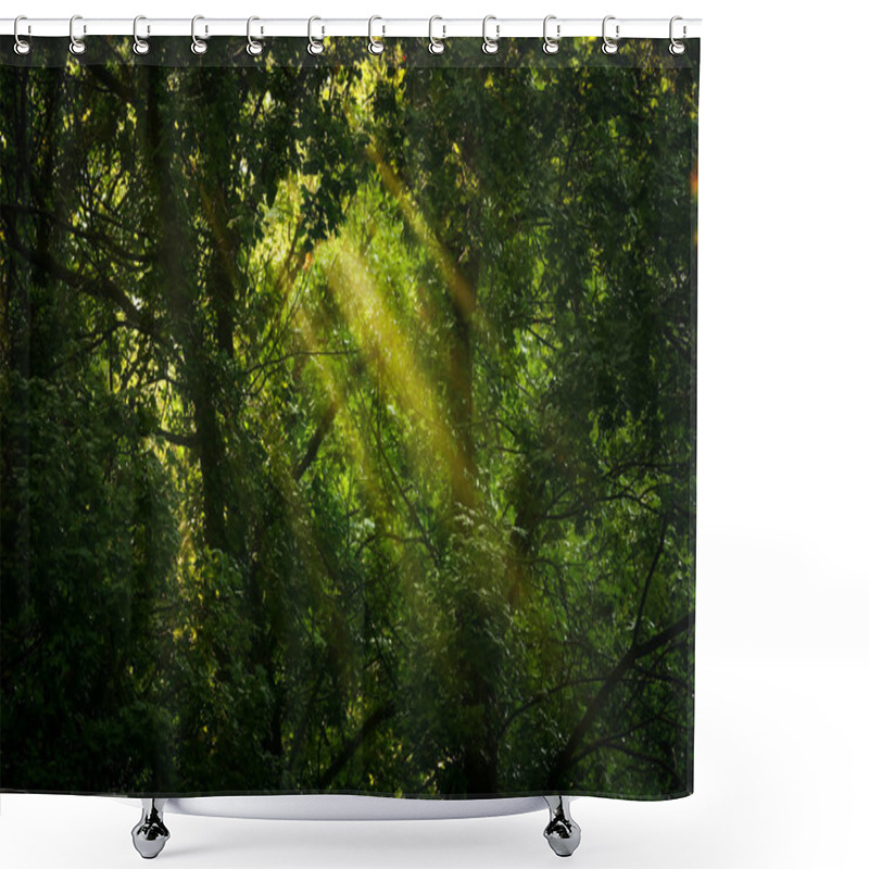 Personality  And Green Forest Shower Curtains