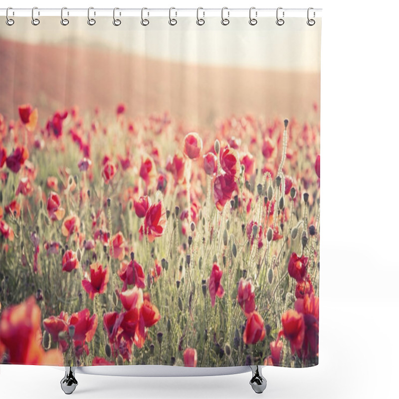 Personality  Stunning Poppy Field Landscape Under Summer Sunset Sky With Cros Shower Curtains