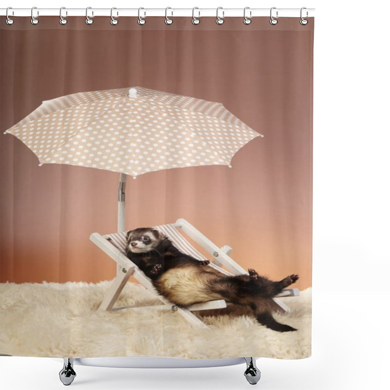 Personality  Dark Ferret Portrait On Beach Chair In Studio Shower Curtains