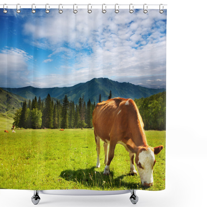 Personality  Grazing Cow Shower Curtains