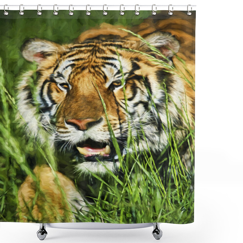 Personality  Impressionist Art Of Bengal  Tiger (Panthera Tigris Tigris) Stalking Prey Through Grass Shower Curtains