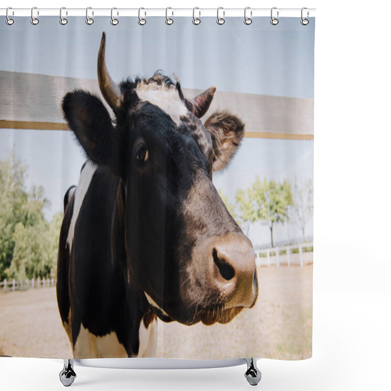 Personality  Close Up Portrait Of Black And White Cow Standing At Farm  Shower Curtains