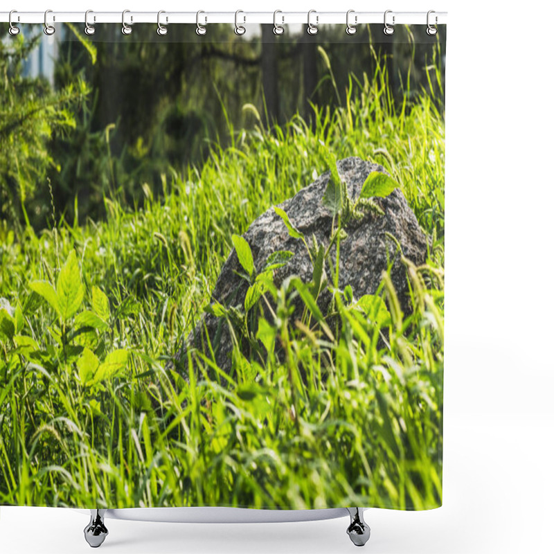 Personality  Close-up Shot Of Boulder Lying In Green Grass Under Sunlight Shower Curtains