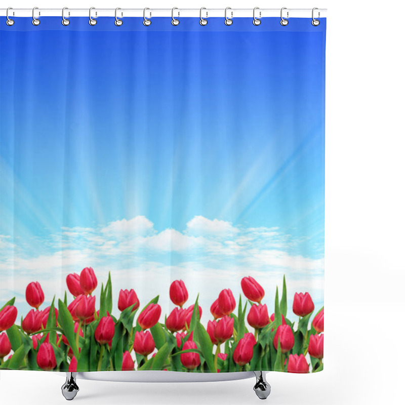 Personality  Tulip Garden Shower Curtains