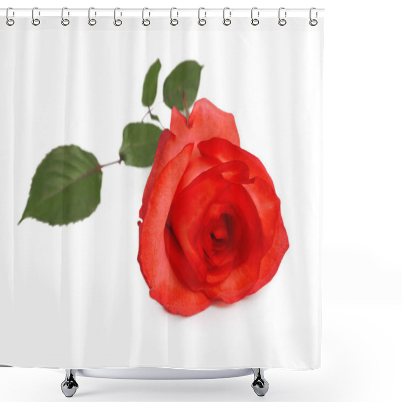 Personality  Red Rose Flower, Isolated  Shower Curtains