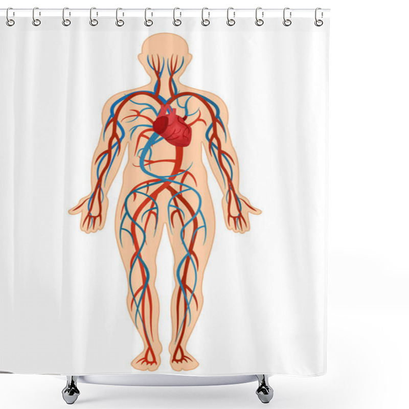 Personality  Anatomical Structure Of Human Body, Circulatory System, Arteries, Veins. Shower Curtains