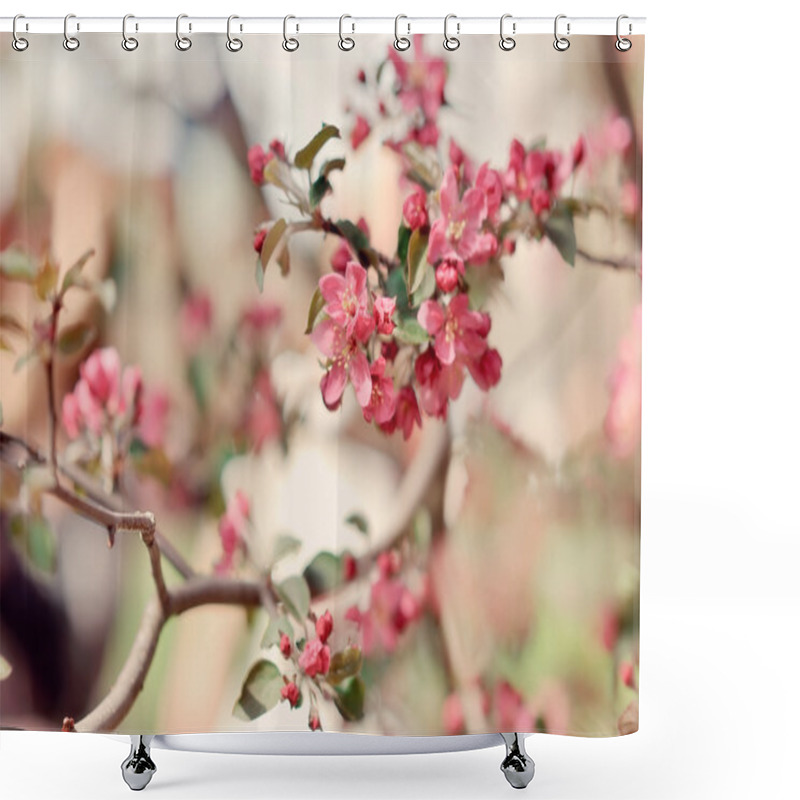 Personality  Blossoming Trees Shower Curtains