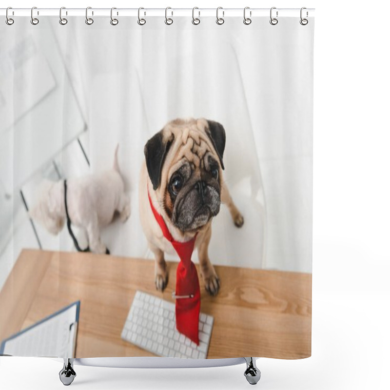 Personality  Business Dog In Office Shower Curtains