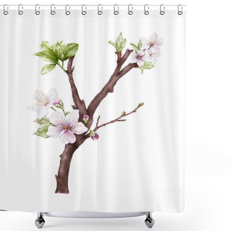 Personality  Watercolor Light Pink Cherry Blossoms Blooming On The Branches. Cherry Blossom And Leaves Branch Bouquet Vector Isolated On White Background. Suitable For Decorative Spring Festivals, Or Cards. Shower Curtains