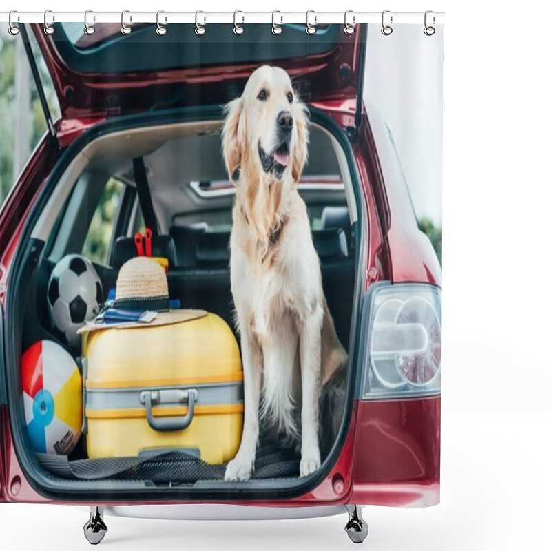 Personality  Dog Sitting In Car Trunk With Luggage Shower Curtains