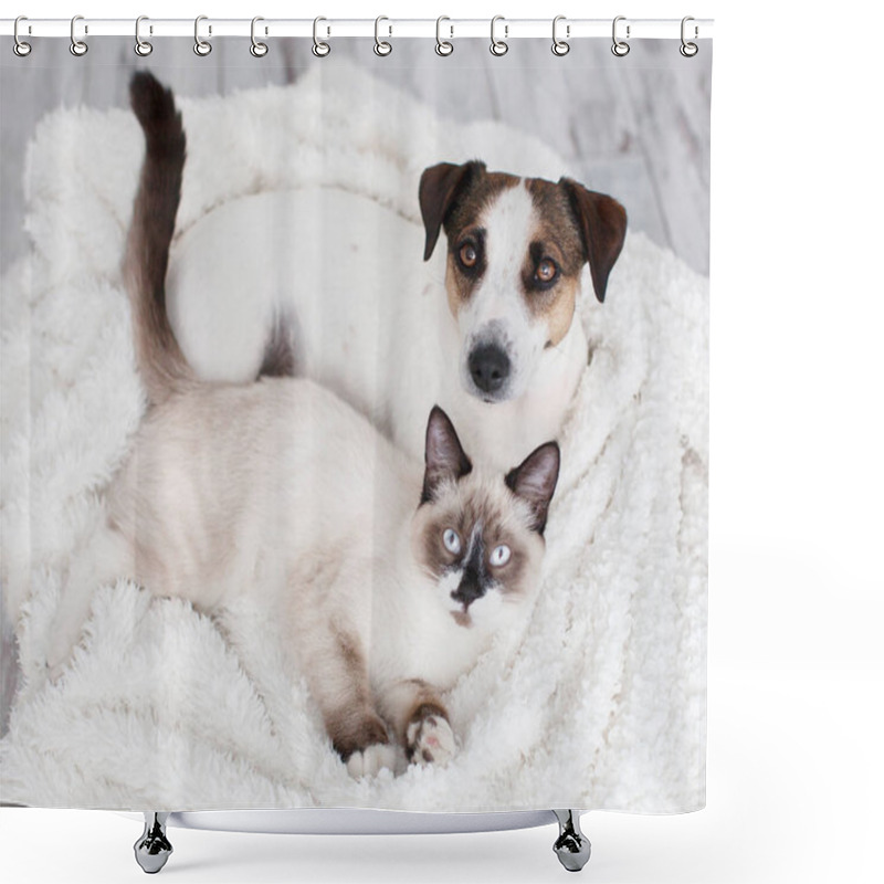 Personality  Cat And Dog Together Under White Plaid Shower Curtains