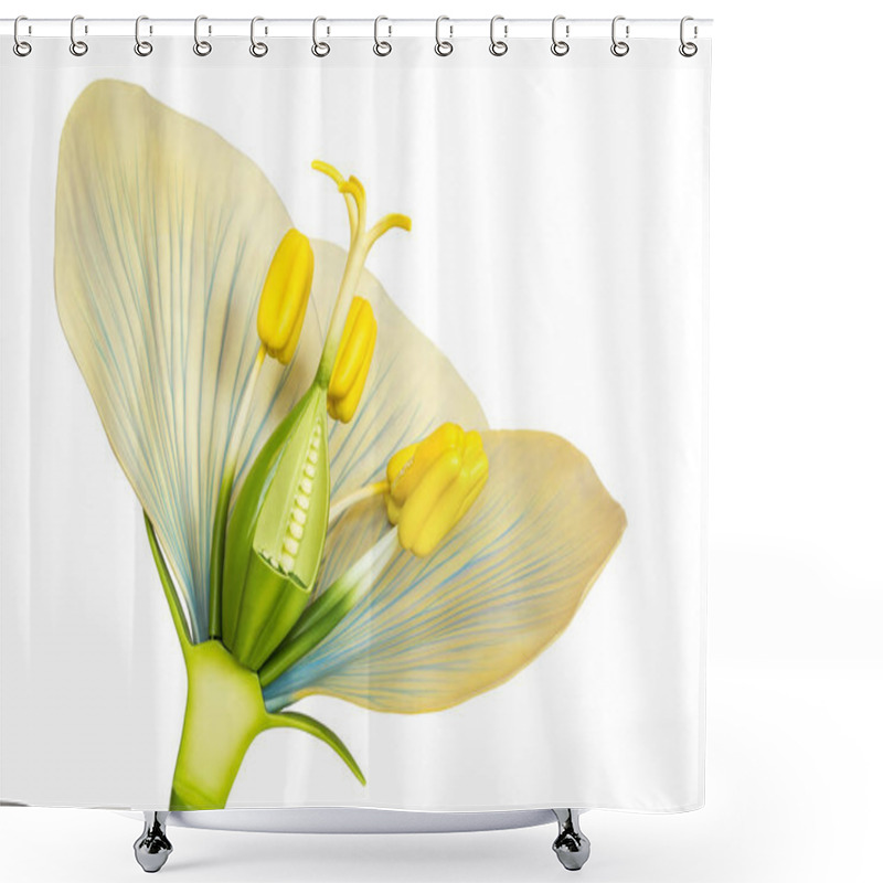 Personality  Model Of Flower With Stamens And Pistils On White Shower Curtains