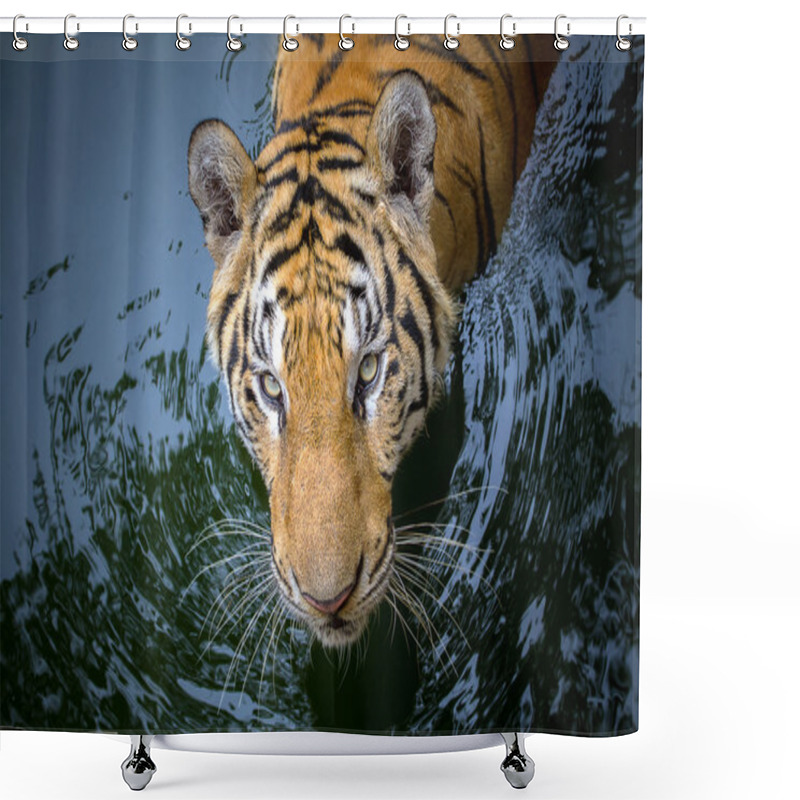 Personality  Tiger Face Shower Curtains