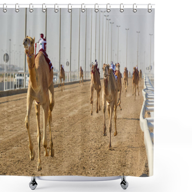 Personality  Traditional Camel Dromadery Race Ash-Shahaniyah Qatar Shower Curtains