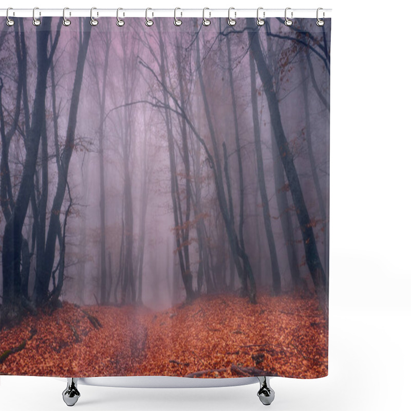 Personality  Road Through A Mystical Foggy Beech Forest In The Fall. Shower Curtains