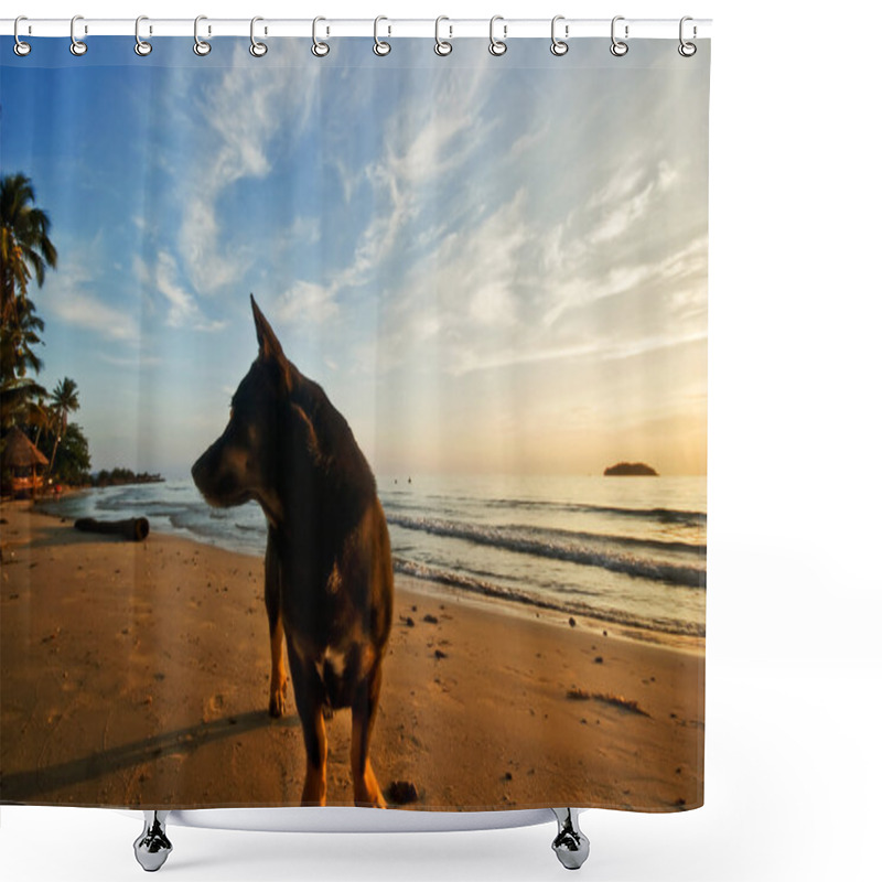 Personality  Dog On The Beach Shower Curtains