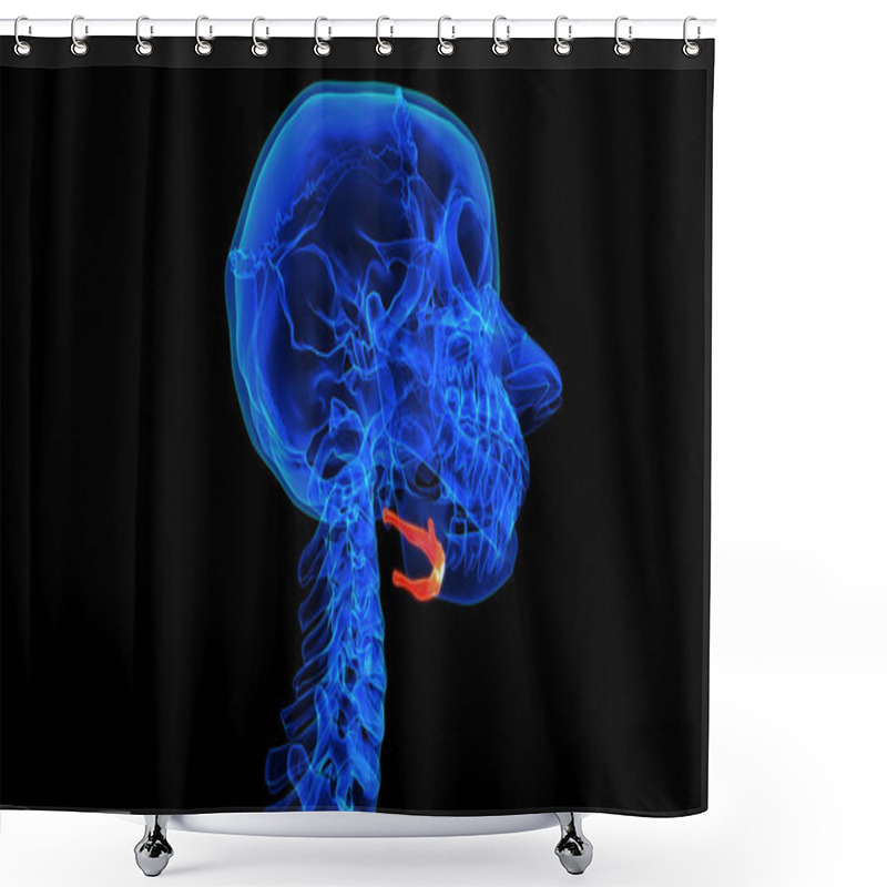 Personality  Hyoid Bone Anatomy For Medical Concept 3D Illustration Shower Curtains