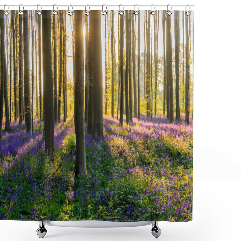 Personality  Sunrise Illuminating Bluebells Shower Curtains