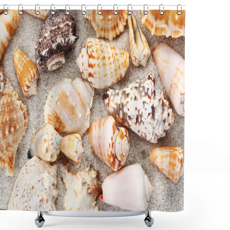 Personality  Seashells Background Shower Curtains