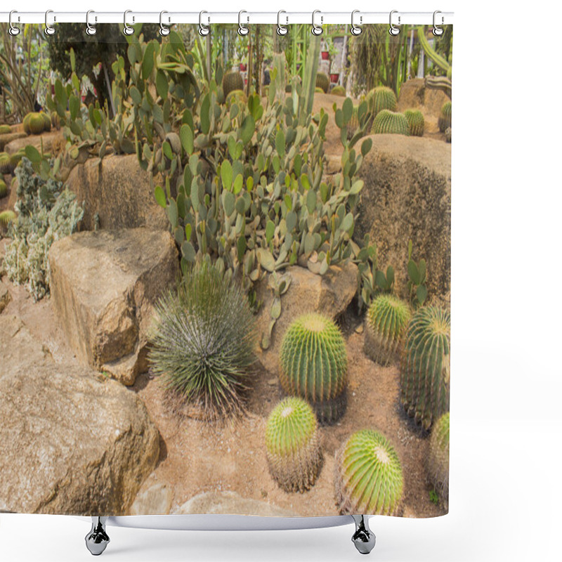 Personality  Cactus On The White Background Shower Curtains