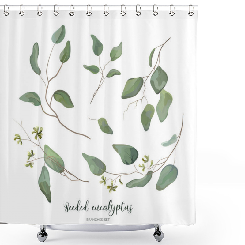 Personality  Eucalyptus Seeded Silver Green Designer Art Different Foliage Natural Branches Leaves Tropical Elements In Watercolor Style Set, Collection. Vector Decorative Beautiful Elegant Illustration For Design Shower Curtains